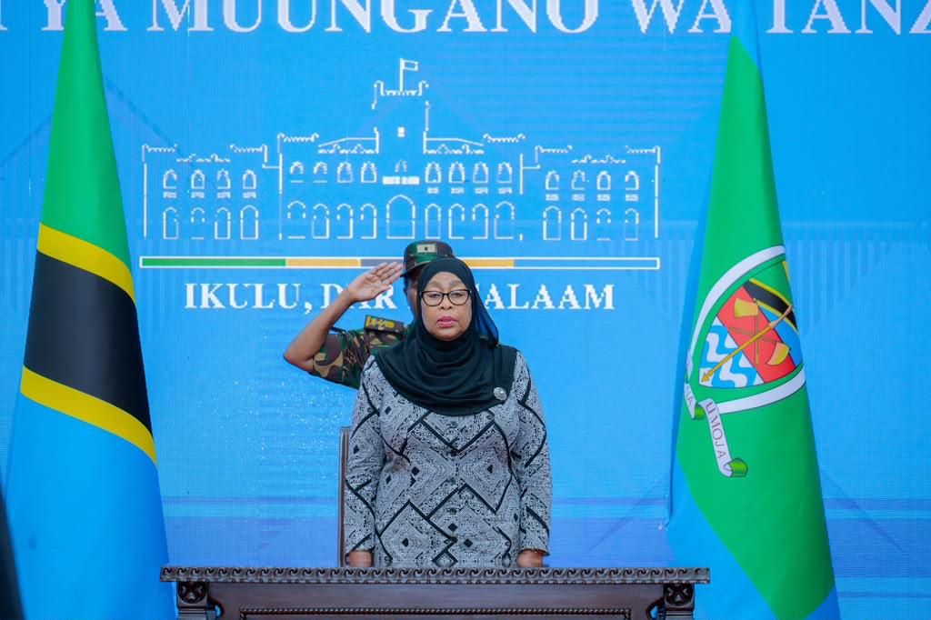 President Samia launches Commission to investigate perpetrators of October 2025 unrest