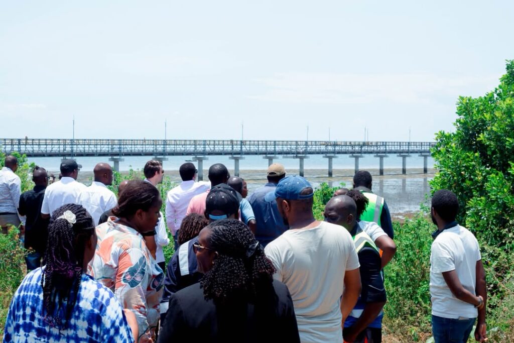 TANZANIA AND UGANDA MOVE TO ESTABLISH TANGA AS A REGIONAL ENERGY HUB.